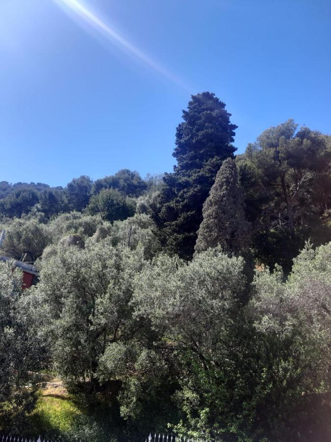 Villa Spectacular Sea View - 3 Minutes Walk From The Sea à Laigueglia Extérieur photo