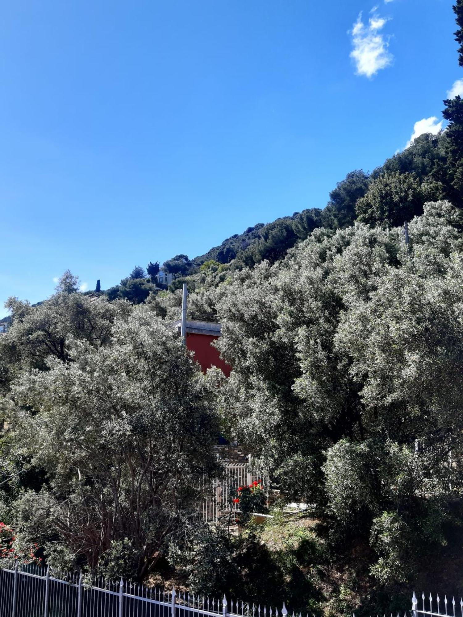 Villa Spectacular Sea View - 3 Minutes Walk From The Sea à Laigueglia Extérieur photo